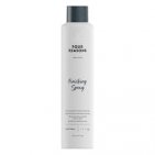 Four Reasons Professional FINISHING SPRAY